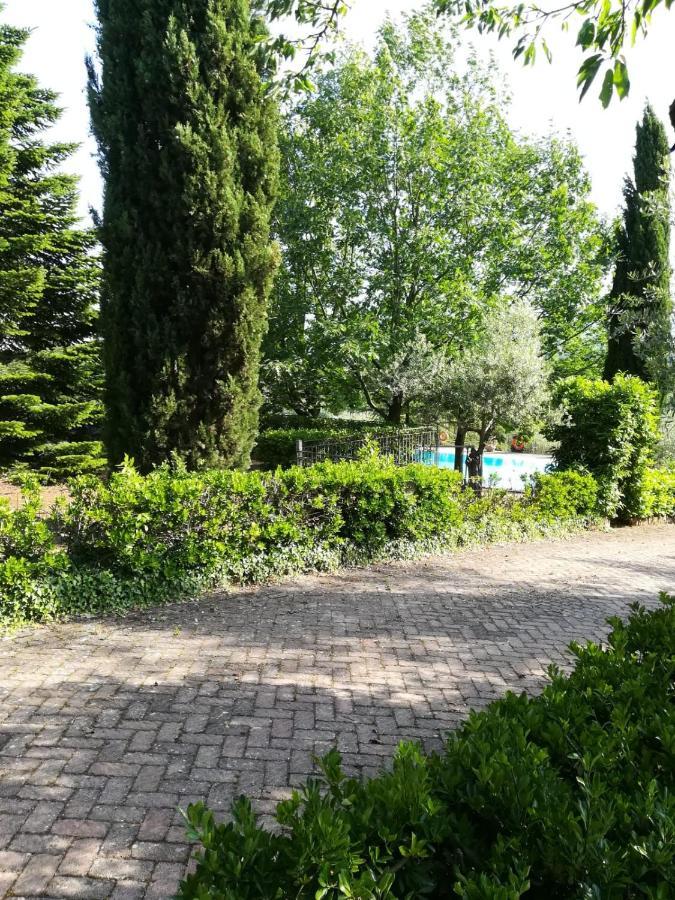 La Terrazza Su Roma Bed and Breakfast Zagarolo Εξωτερικό φωτογραφία